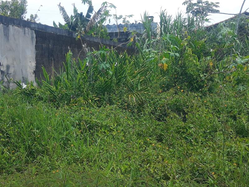 Lote inteiro no LotY, 200 metros da pista.